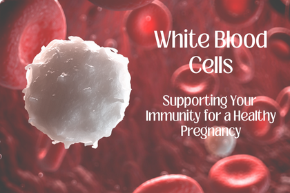 High White Blood Cell Count During Pregnancy